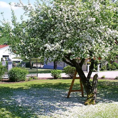 Bloier * Bad Birnbach